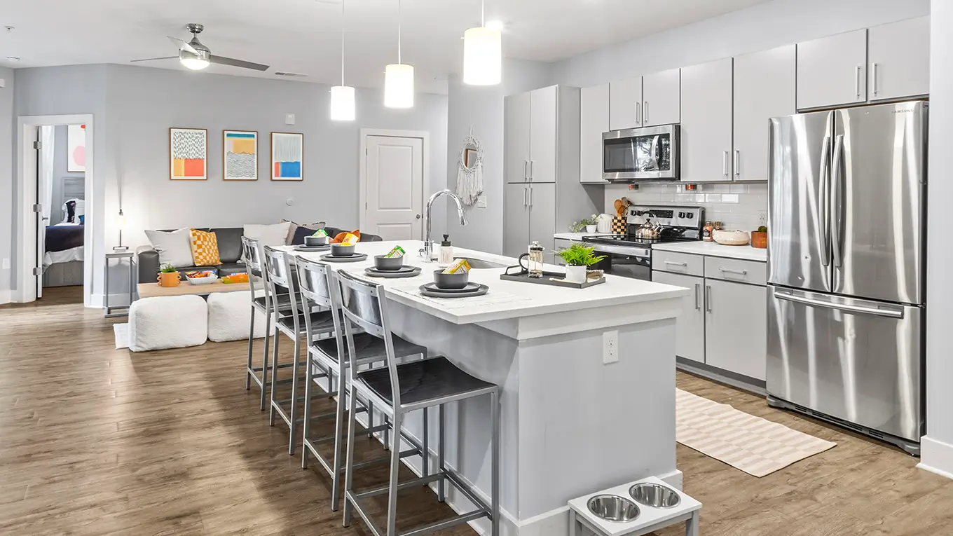 furnished apartment living space